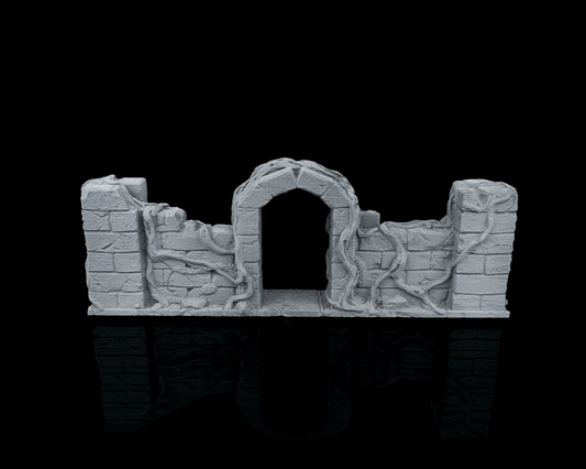 Overgrown Wall duplo com porta